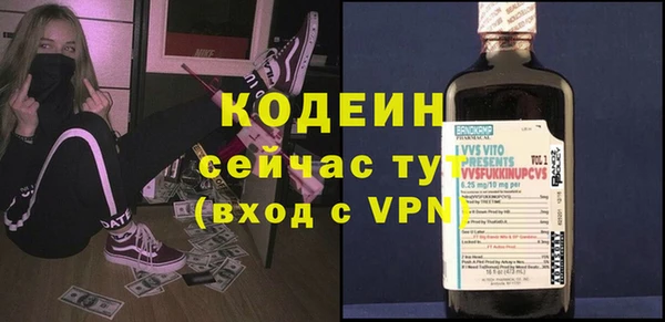 дживик Абаза