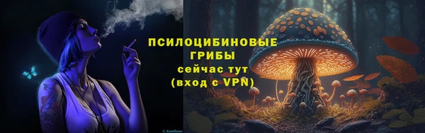 дживик Абаза